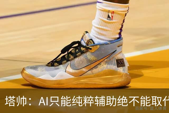 塔帅：AI只能纯粹辅助绝不能取代直觉 我们从未考虑将道曼外租